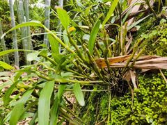 -赤水丹霞旅游区·佛光岩