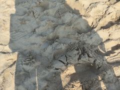 -那香海钻石沙滩浴场