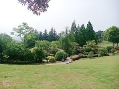 -铁山坪森林公园