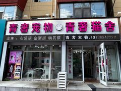 -青奢宠物·青奢猫舍