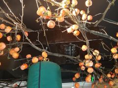 -老灶房-四川土菜(开元店)