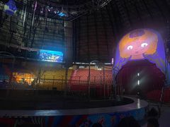 -俄罗斯国家大马戏团