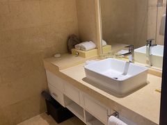 -深圳湾科技园丽雅查尔顿酒店
