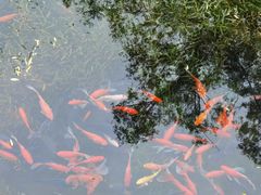 -水磨沟公园