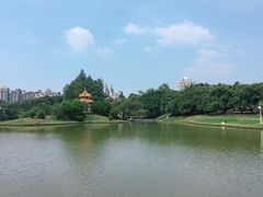 -四海公园(南山区)