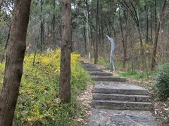 -云龙山