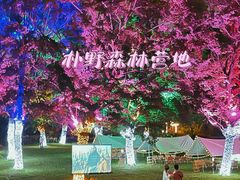 -秀丽东方
