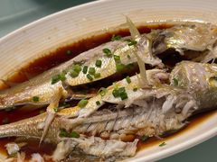 -京香轩·中餐厅(上海中庚聚龙酒店)