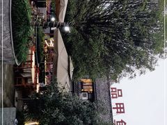 -高坎一品甲鱼庄(两河店)