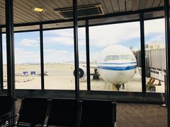 -纽瓦克自由国际机场