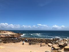 -广东惠东海龟国家级自然保护区