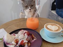 爆浆蛋糕-共舞时光猫咖·狗咖(新街口店)