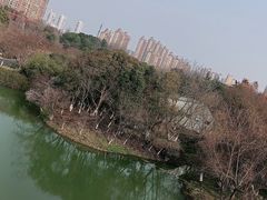 -青枫公园