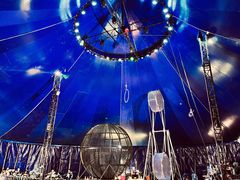 -鹅湖玫瑰文化园