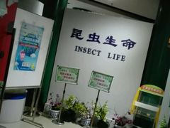 -上海昆虫博物馆
