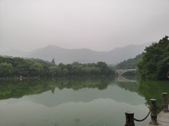 -杭州半山国家森林公园