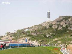 -洋山深水港