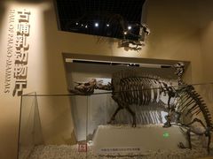 -国家自然博物馆