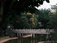 -深圳国际园林花卉博览园