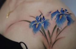 -杨卓刺青工作室·YZ STUDIO