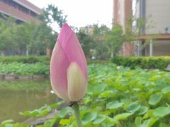 -梧桐人家中国太平国际健康颐养社区