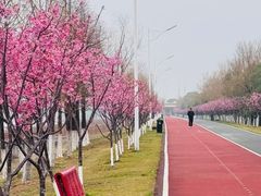 -艾溪湖湿地公园