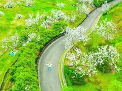 -三圣花乡旅游区