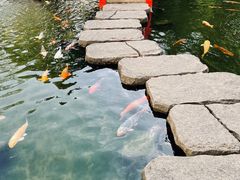 -广州花园酒店