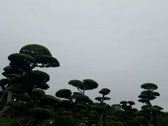 -南宁南湖公园