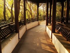 -上海佘山国家森林公园天马山园