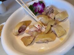 -陶缘一号·四季缘·老字号顺德菜·户外婚礼家宴(西滘店)