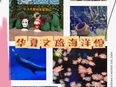 -华夏文旅海洋公园