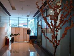 -听雨小筑茶舍(观音桥·龙湖新壹街店)