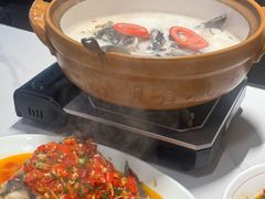 -全乐鱼馆·淳牌有机鱼直营店