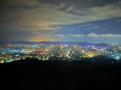 -长虫山生态公园风景林