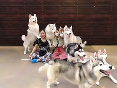 -TrueLove @ Neverland (Husky Cafe)