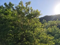-南京市江宁方山