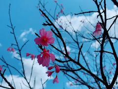 -福清灵石山国家森林公园