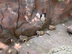 -长鹿旅游休博园