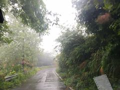 -东白山