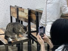 -玉椰林甜品店(创始店)