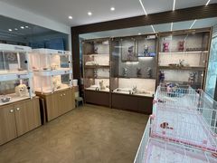 -翊宠yipet猫狗购宠庄园犬舍•猫舍