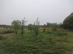 -同里国家湿地公园