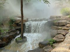 -北京西山国家森林公园