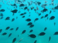 -亚龙湾海底世界