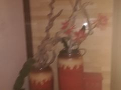 -清水湾温泉生活馆(南直路店)