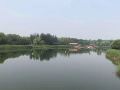 -大兴滨河森林公园