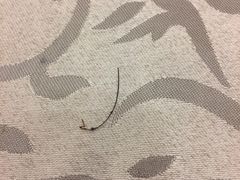 -六婶西关小厨(光塔路店)