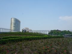 -北外滩滨江绿地