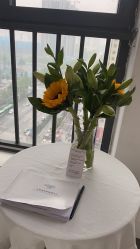 -凡碧诗毛孔清洁收细